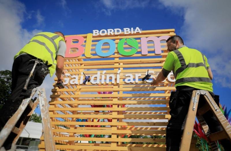 Limerick's urban greening initiatives to be showcased at Bloom 2022