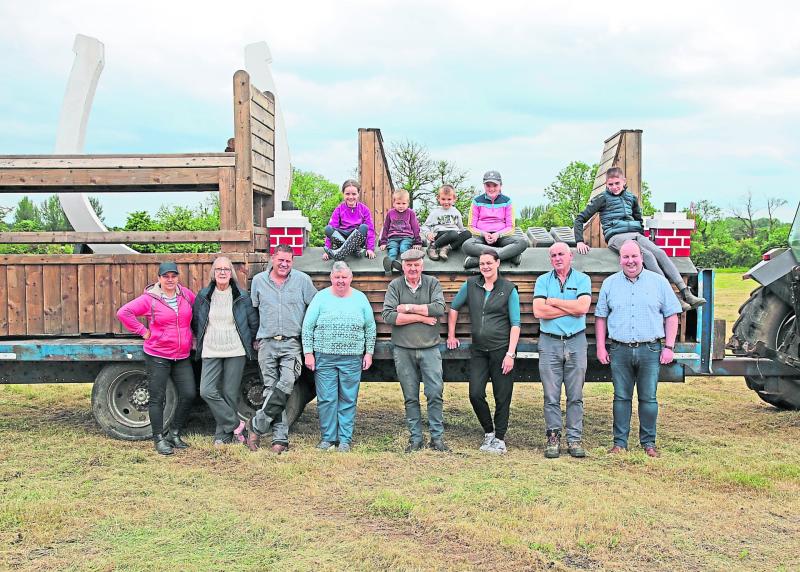 Ballinalee is the place to be for return of Longford's Connemara Pony