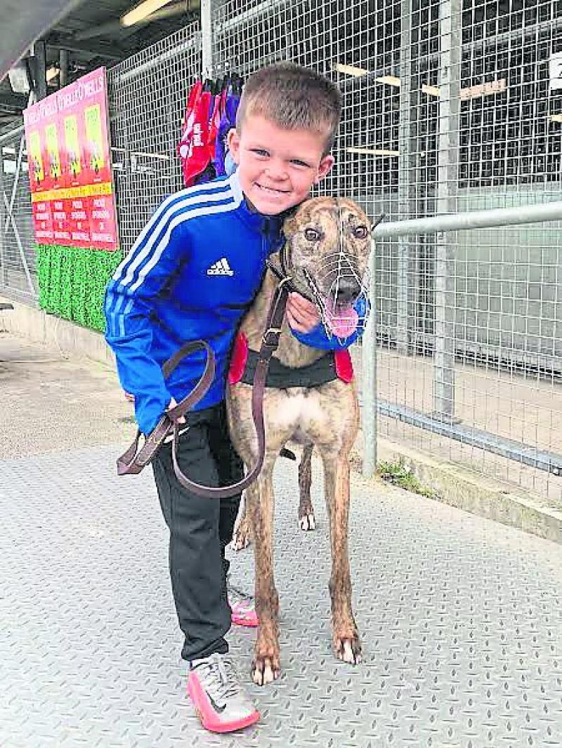 Derry Greyhounds: Finalists confirmed for upcoming Memorial Gala Night