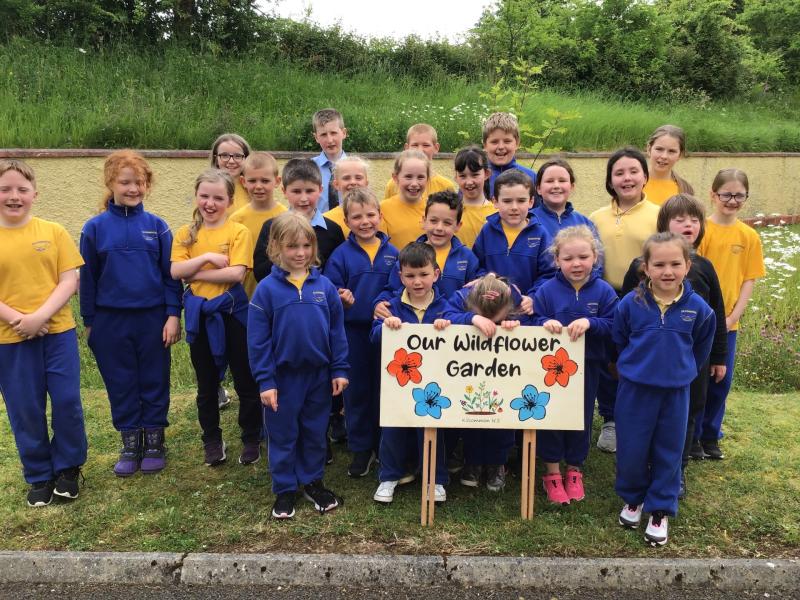 Everyone has green thumbs at Kilcommon National School 