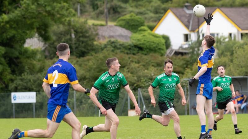Victory over Naomh Padraig means promotion to Division 2 for Naomh Bríd 