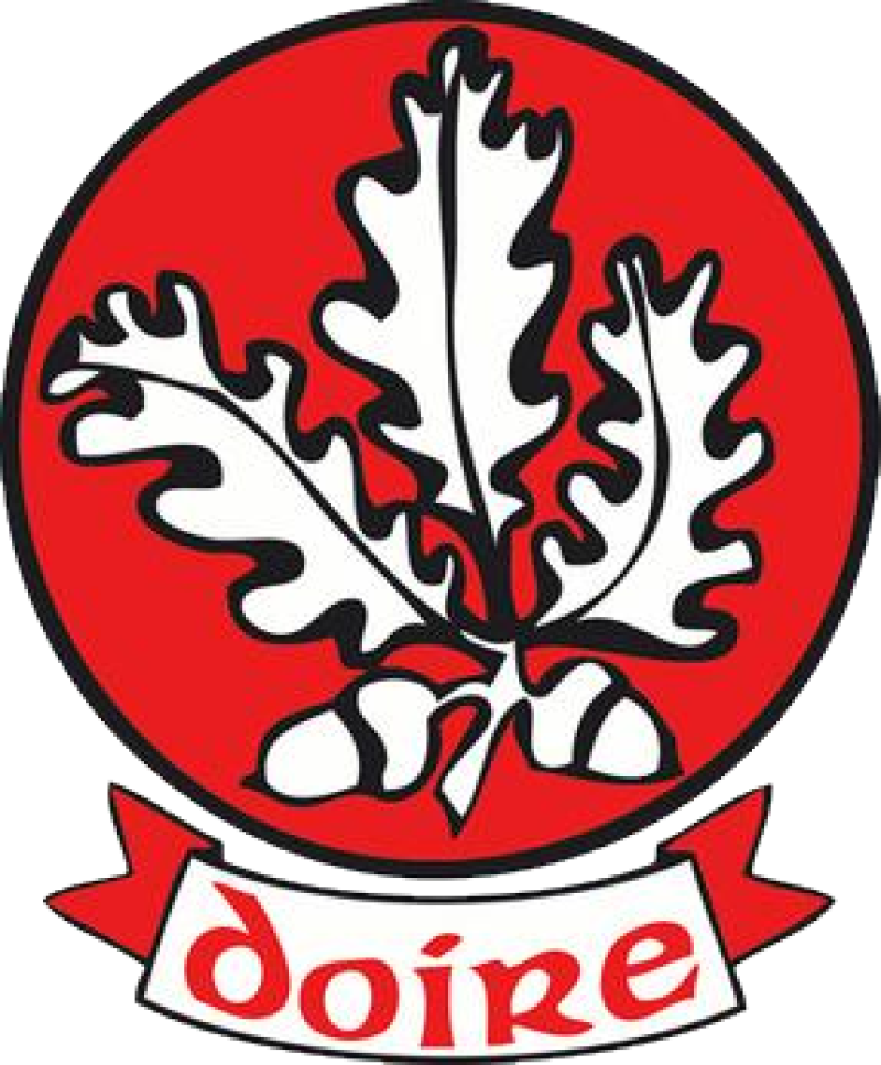 Mayor wishes Derry GAA well ahead of All-Ireland semi-final