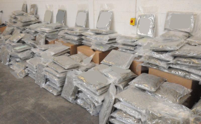 Gardaí seize €7 million worth of cannabis from business premises