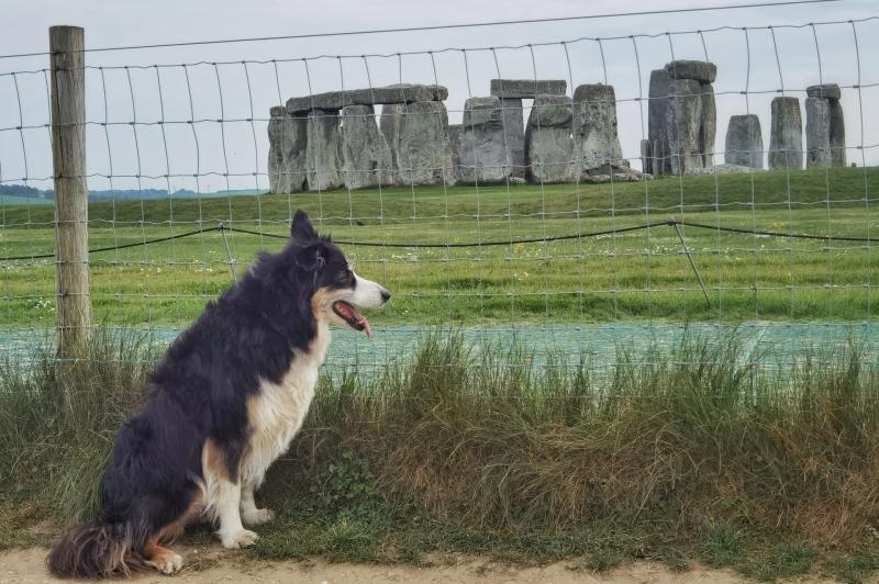 Meeting Idris Elba to the magic of Stonehenge 