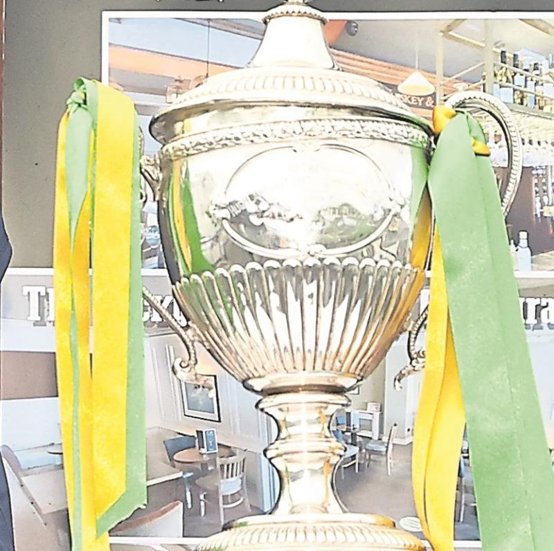 Kildare GAA: Auld Shebeen Bar Athy IFC results