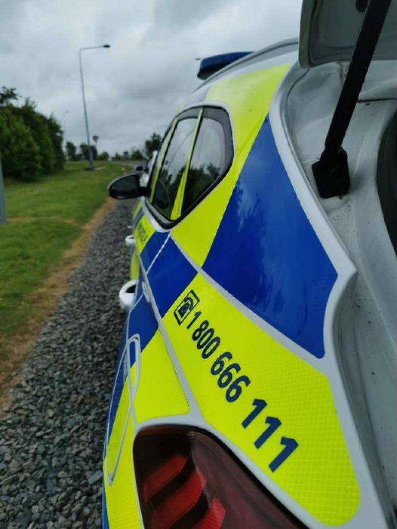 Two arrested over burglary in  Laois
