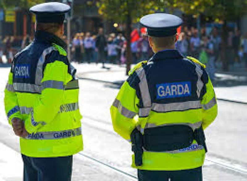 Concerns aired over garda manpower and response times