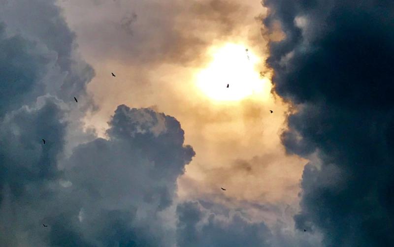 WATERFORD WEATHER: A cooler day expected with outbreaks of rain and thunder possible