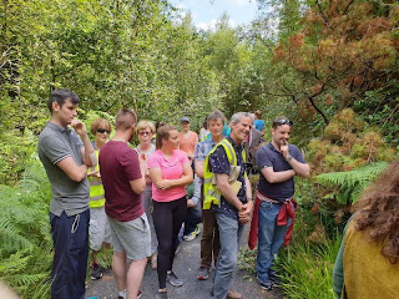 Bilberry Sunday Walk this weekend