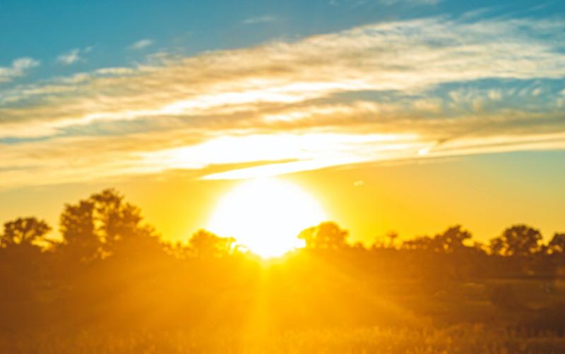 WEATHER WATCH: A mix of scattered showers and sunny spells predicted