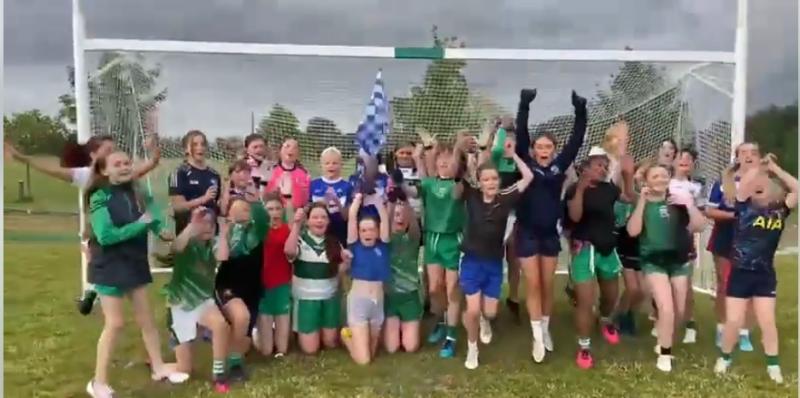 WATCH: Lets Go Laois Lets Go! Portlaoise gets behind Laois Ladies for Croke Park final