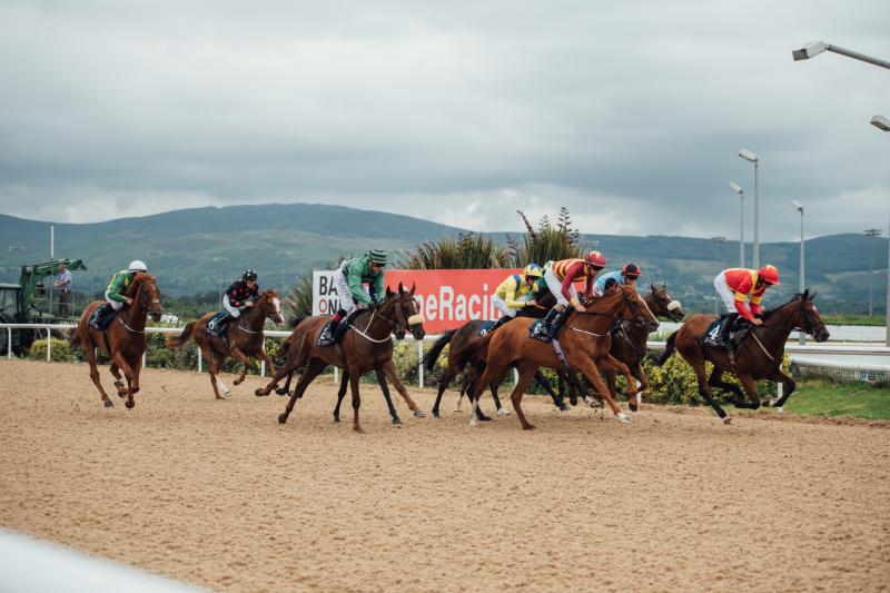 Racing and Family Fun Day at Dundalk Stadium
