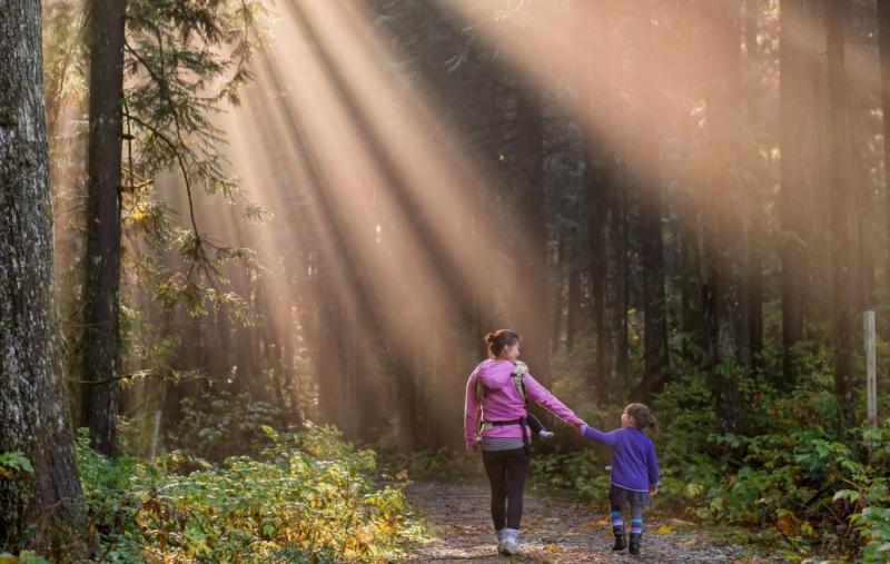 What's On: History buffs and heritage enthusiasts be ready for Carlow Heritage Seminar