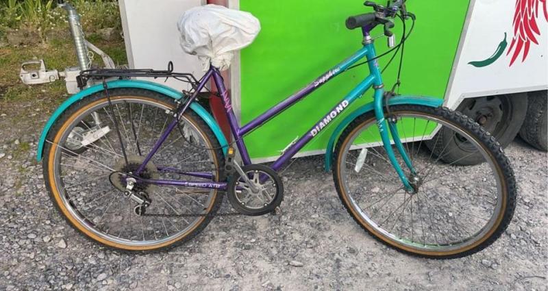 Laois Gardai  seek bike owner