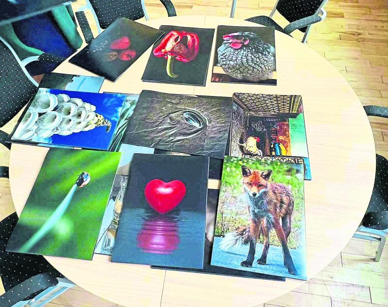 A Camera in Lockdown - exciting new Photography Exhibition to open in Rossinver