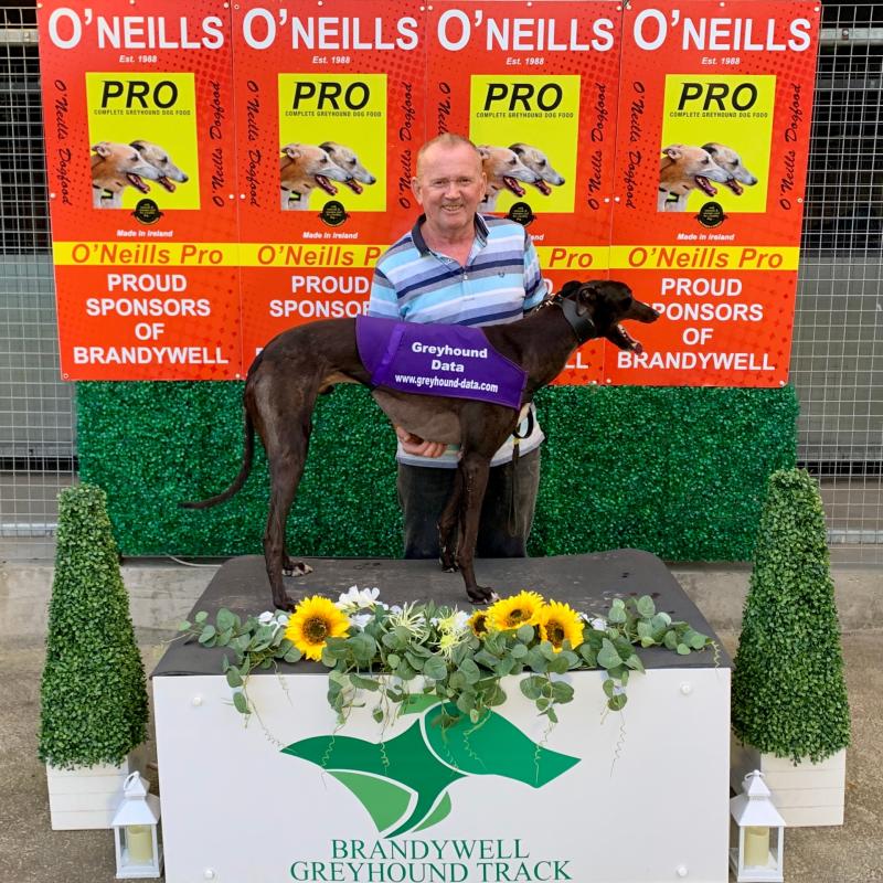 Derry Greyhounds: Ardfert is a bright Spark for Oliver Canavan