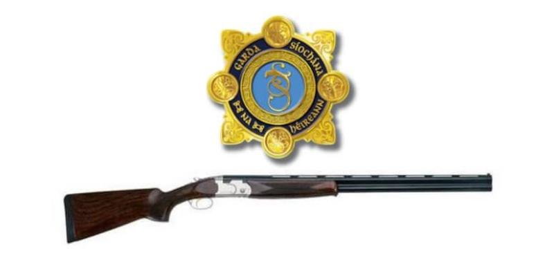 Laois gun owners urged to renew permits promptly