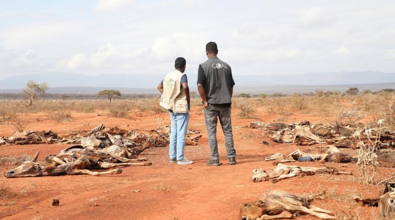 Urgent call on people of Kilkenny to support GOAL’s crisis response in East Africa
