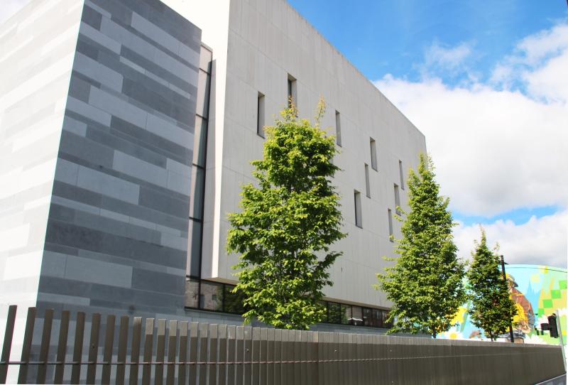 Teenage boy set fire to homes in Limerick estate causing &euro;150k worth of damage