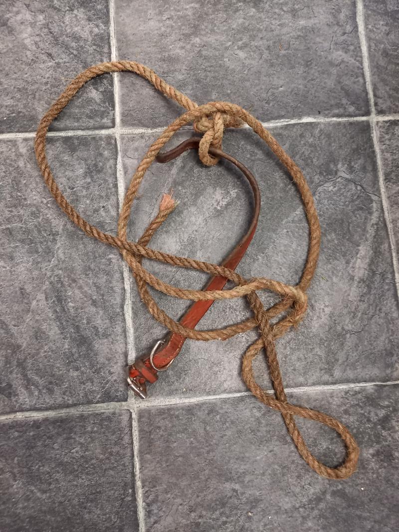 Leitrim dog warden bitten by escaped dog