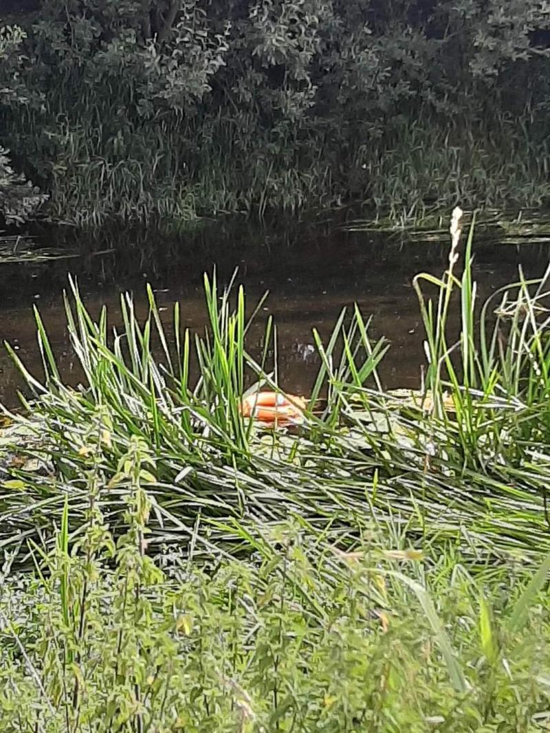 The life buoy was vandalised and thrown into the River Suir 