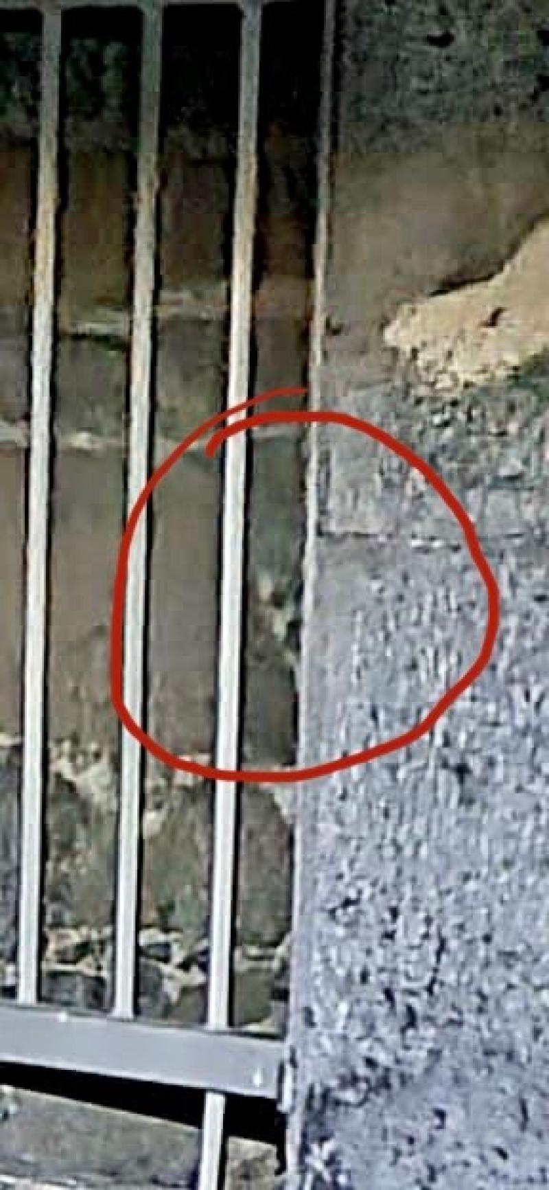 Ghost sighting near Offaly gets international attention
