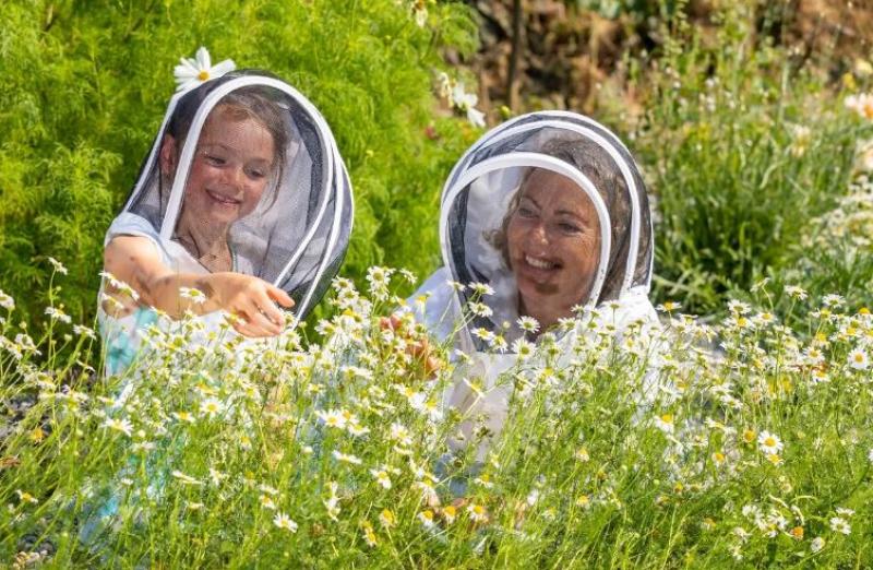 Ambitious  Waterford Honey Show aims to develop into international event