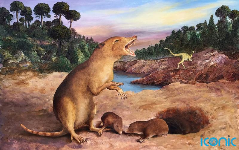 Earliest known 'shrew-like' mammal identified using fossils dated back 225 million years ago