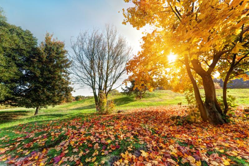 Ireland Weather: What is the weather forecast for Ireland for the weekend?
