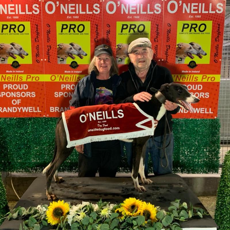 Derry Greyhounds: Snipe Drum heads the Brandywell league table