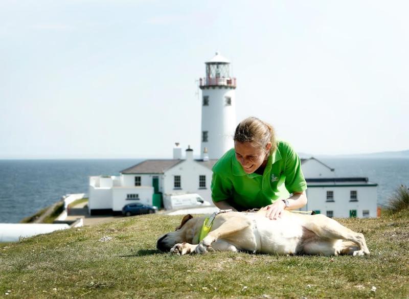 Donegal volunteer recruitment evening for the Irish Guide Dogs for the Blind