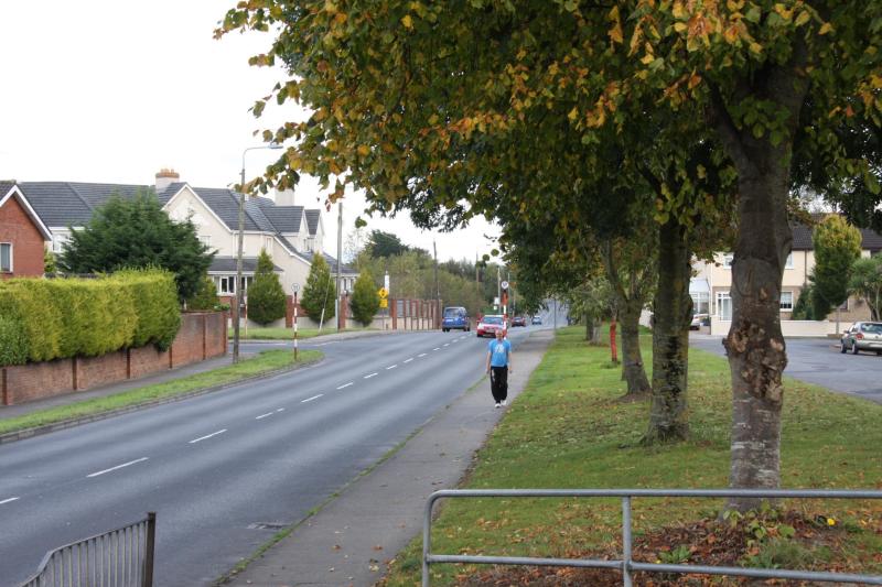 First part of new cycle lane in Limerick approved