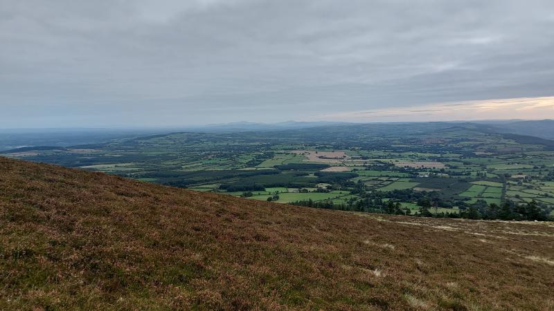 Opinion - Now is the time to take a walk on the wild side - Kilkenny Live
