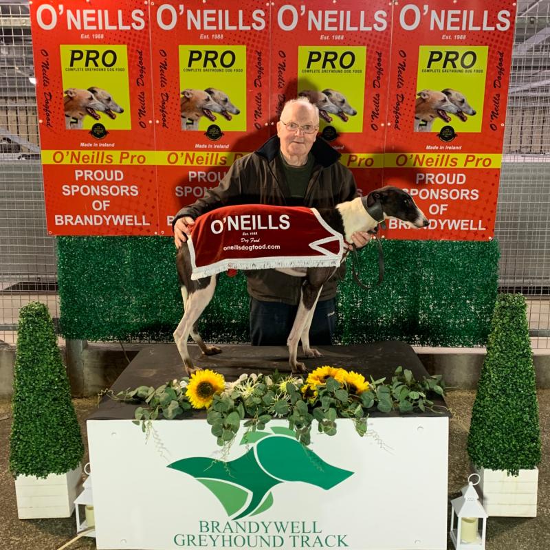 Derry Greyhounds: Old Bleach cleans up at the Brandywell