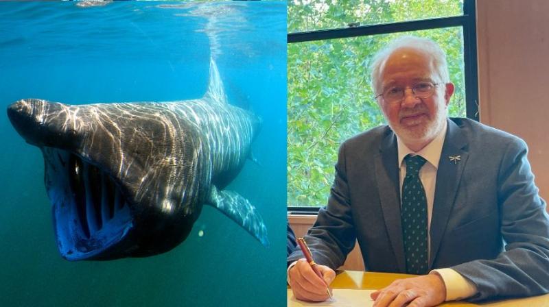 Minister of State from Kilkenny confers 'protected' status on basking sharks