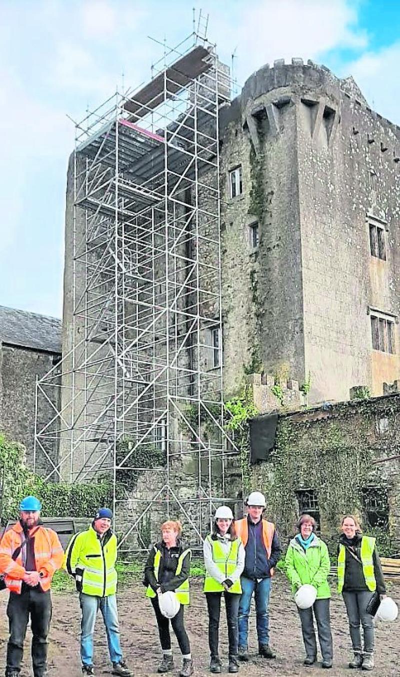 Repair works being carried out on 'magnificent' castle in Offaly