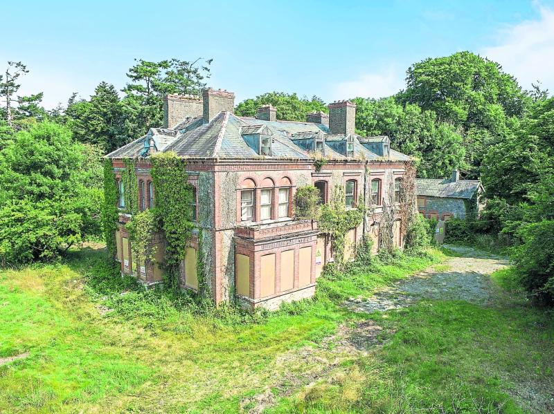  Limerick billionaire to spend millions to turn derelict mansion in 'spectacular home'