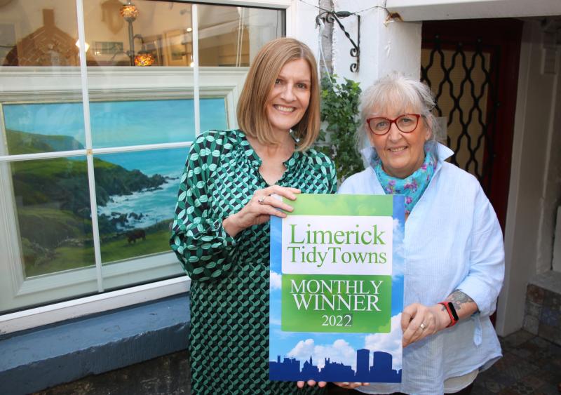 Tidy Towns award for Limerick artist and gallery owner