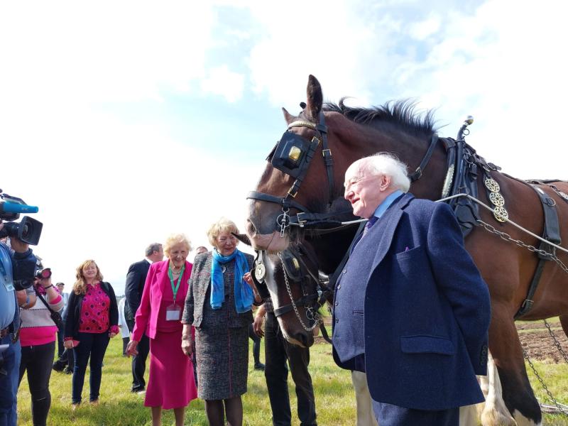 Ratheniska success sees ploughing confirmed for Laois return