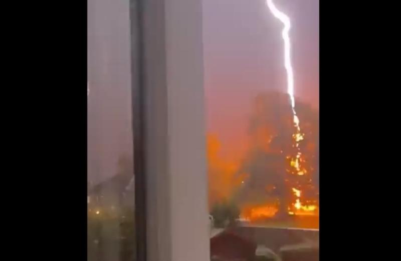 PHOTOS: Lightning bolt hits tree in Kildare as people say thunder storm was the worst ever 