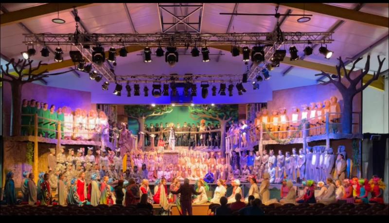 Ursuline Thurles take pride in a ‘spectacular’ production of The Lion King Jr