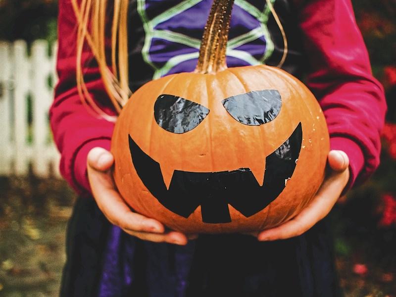 Visual Carlow to host free family fun day this Halloween