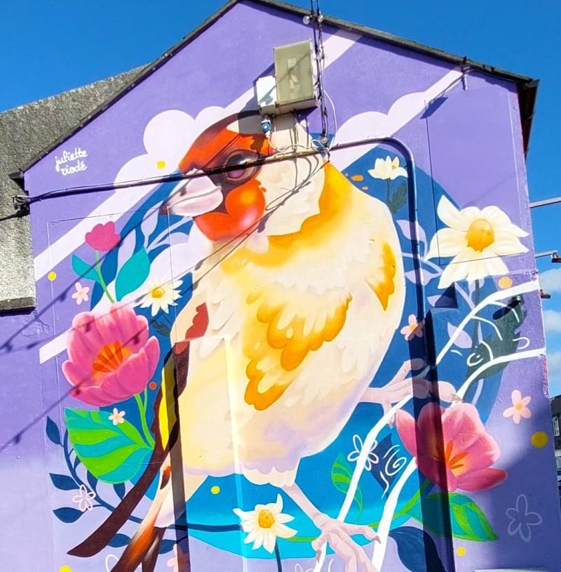 Tipperary County Council will focus on the &lsquo;attractiveness&rsquo; of Tipperary&rsquo;s towns