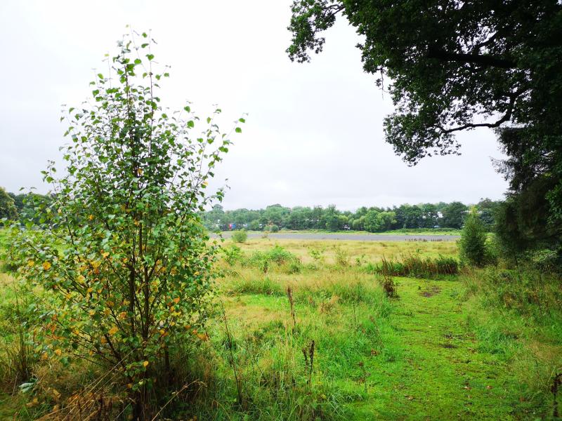 Report criticises consultation on County Derry planning application
