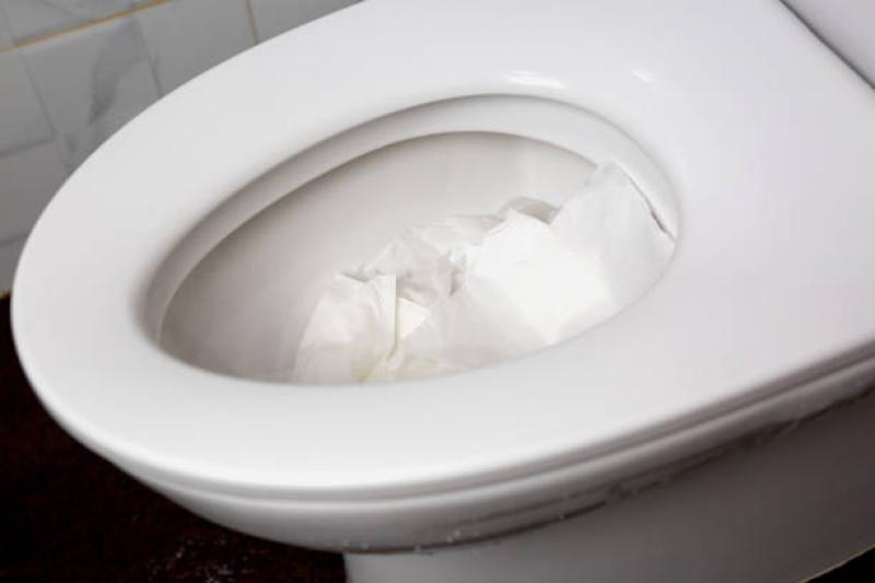 People stuffing toilet rolls down public toilets are vandalising Buncrana loos claims Cllr Rena Donaghey