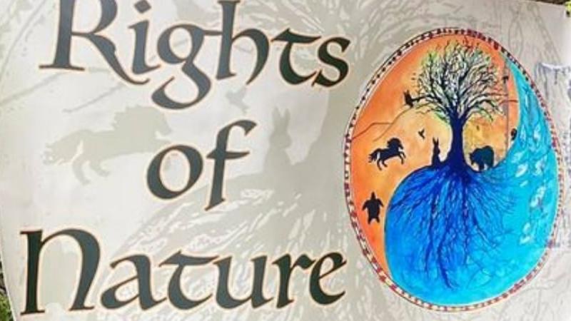'Visioning yet reflective film' set for Nerve Centre