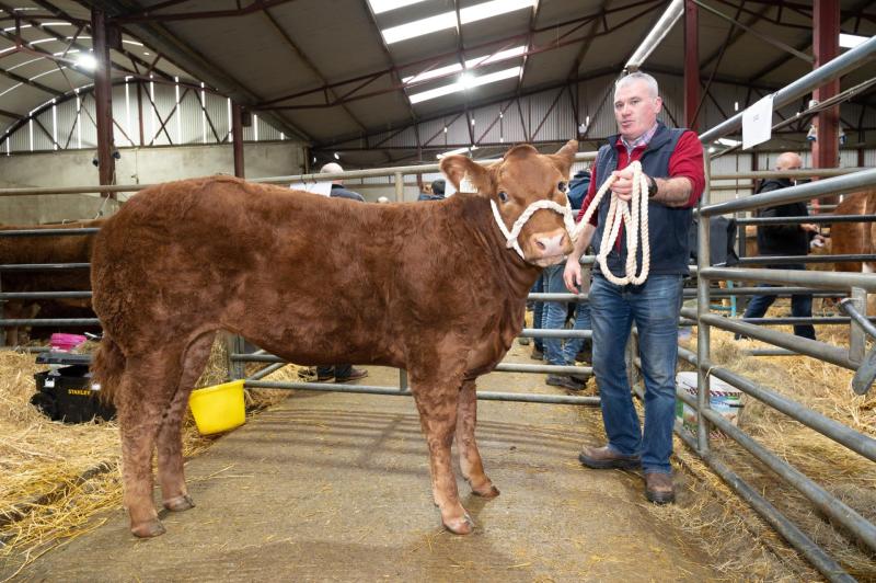 In Pictures: Stranorlar and Ballybofey Elite Livestock Mart 