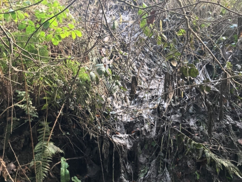 Waterford farmer fined €3,000 for dumping septic tank waste in stream