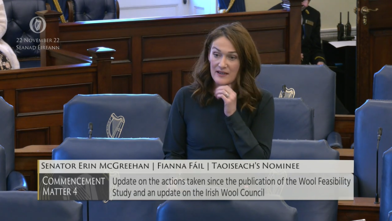 Louth Senator calls for progress report on the establishment of the wool council of Ireland 