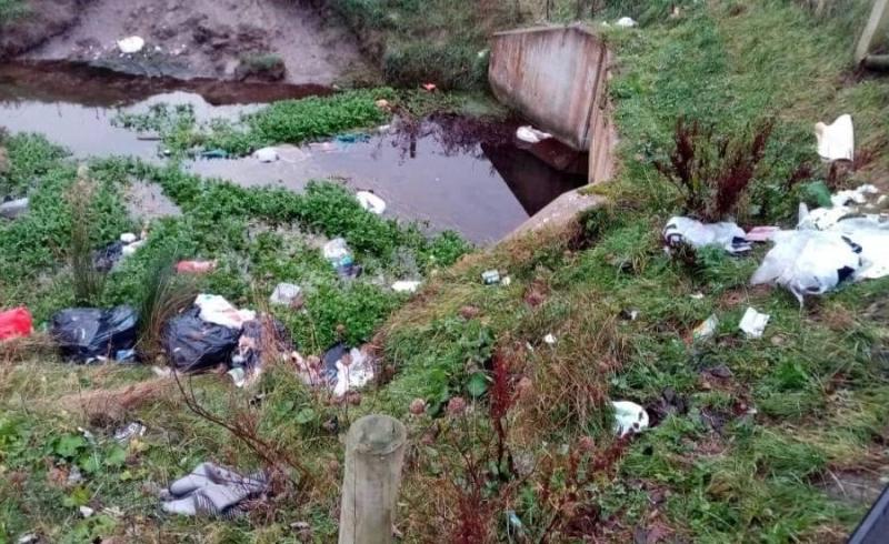PHOTOS: Councillor highlights illegal dumping at site in Kildare 